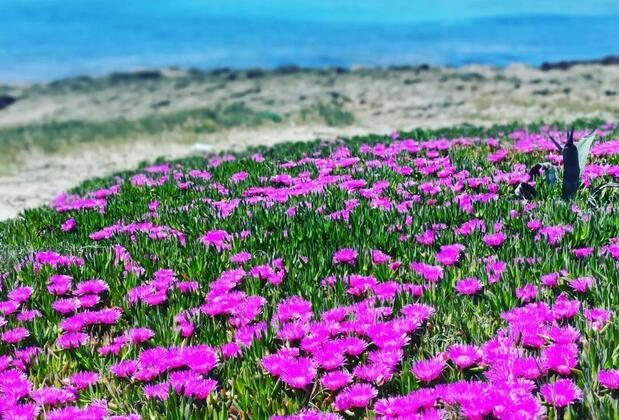 Otel Kaptanın Yeri Çeşme - Görsel 38