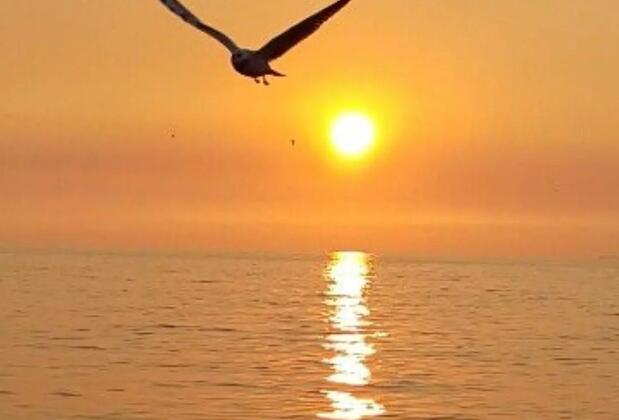 Otel Kaptanın Yeri Çeşme - Görsel 42