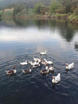 Saklıgöl Nature Club - Görsel 6