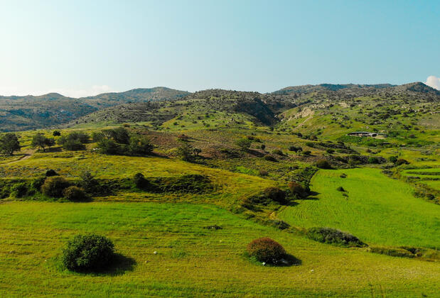 Velmer Hotel - Görsel 4