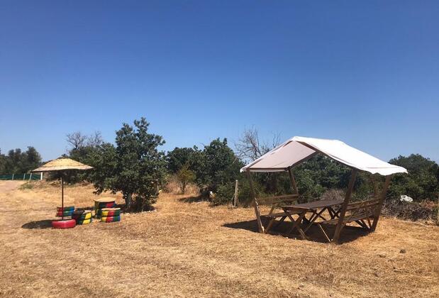 Assos Sivrice Mavi Kuş Otel  - Görsel 10