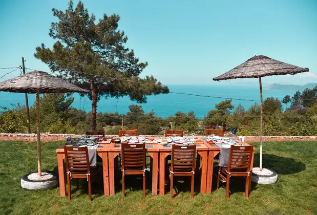 Faralia Hotel (+12 Adult Only) - Görsel 5