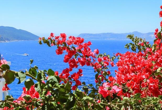 Hotel Begonvil - Görsel 17