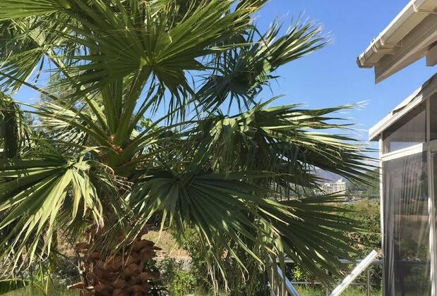 Uslu House Tatil Evleri - Görsel 4