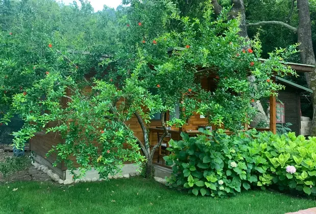 Adabella Pansiyon - Görsel 14