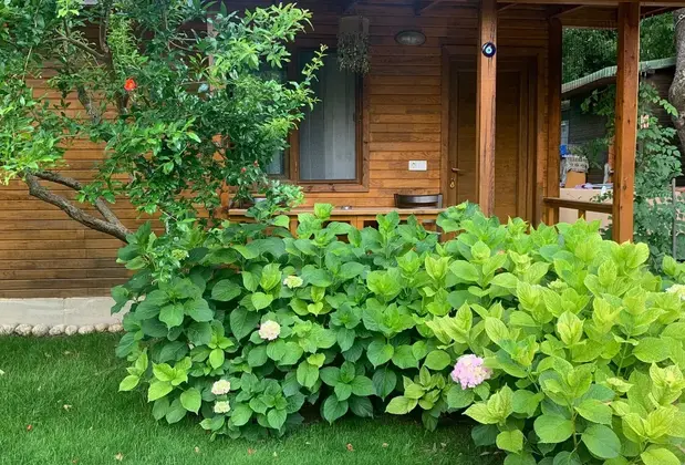 Adabella Pansiyon - Görsel 4