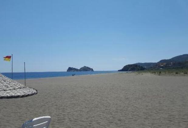 The Palm Apart Sarıgerme - Görsel 4