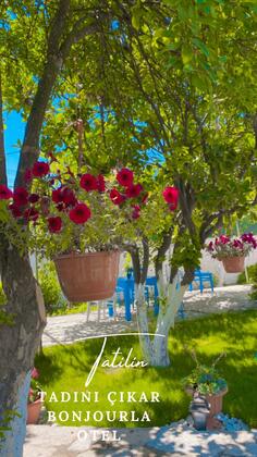 Bonjourla Otel  - Görsel 14