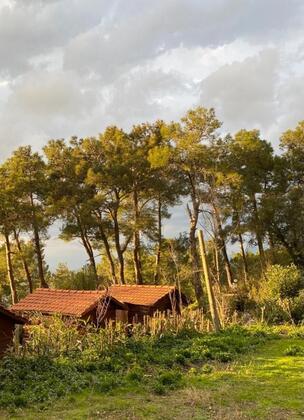 Havasu Park Bungalows - Görsel 11