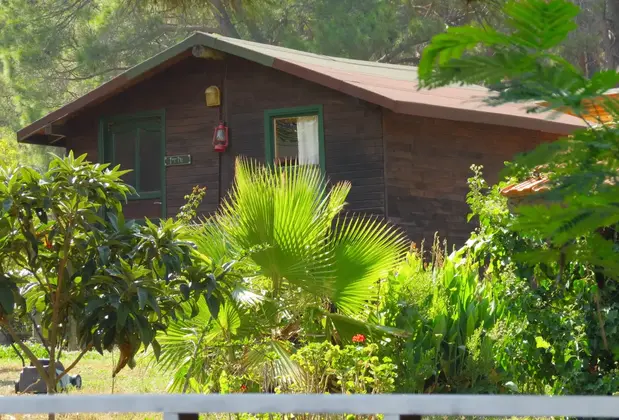 Havasu Park Bungalows - Görsel 15