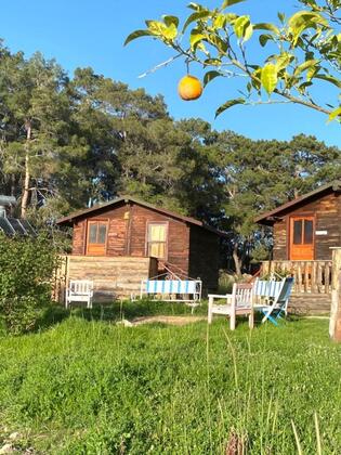 Havasu Park Bungalows - Görsel 2