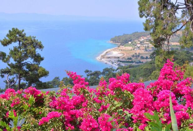 Teras Tepe Apart Otel - Görsel 6