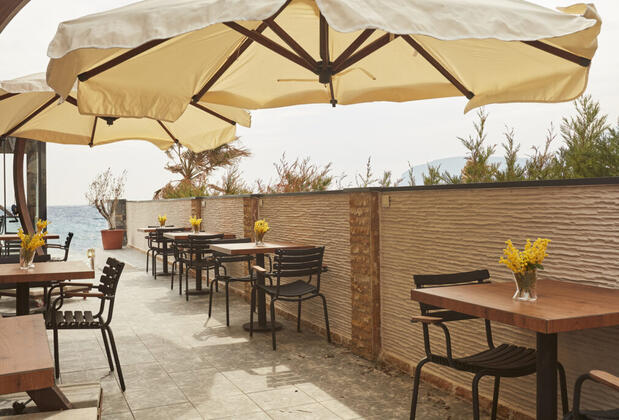 Casa Mimosa - Görsel 14