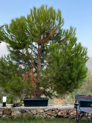 Adrasan Villa Home - Görsel 20