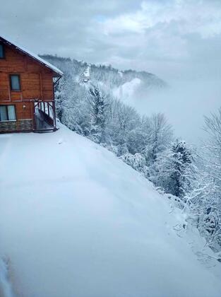 Vera Köyevi - Görsel 6