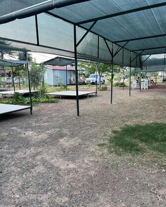 Adrasan Parlak 2 - Görsel 7