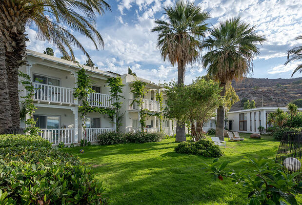 Palmet Family Bianco - Görsel 9