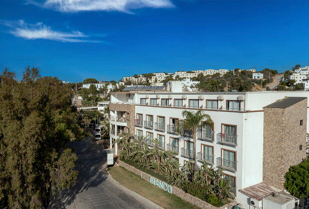 Palmet Family Bianco - Görsel 10