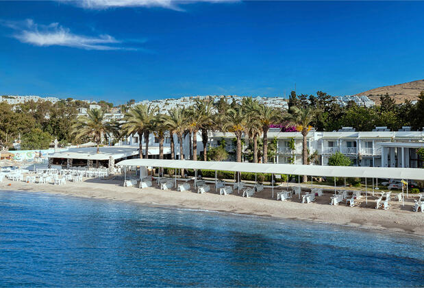 Palmet Family Bianco - Görsel 3