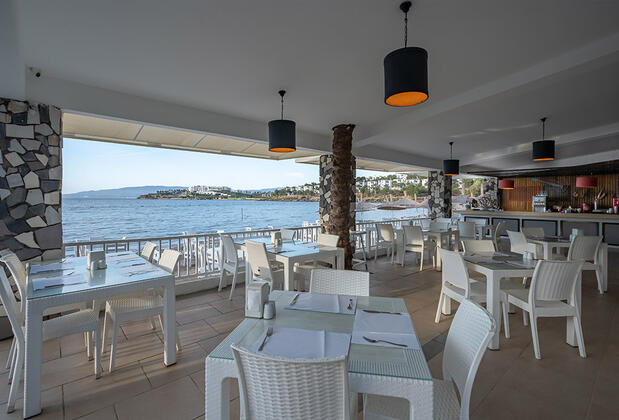 Palmet Family Bianco - Görsel 33