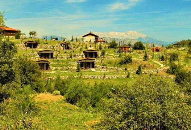 Milyos Hobbit Hotel - Görsel 9