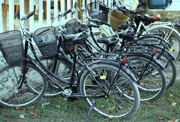 Natural Life Bungalows Hotel - Görsel 5