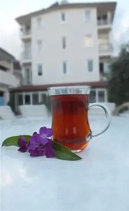 Beldibi Sun Hotel - Görsel 7