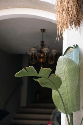 Mono Alaçatı - Görsel 6