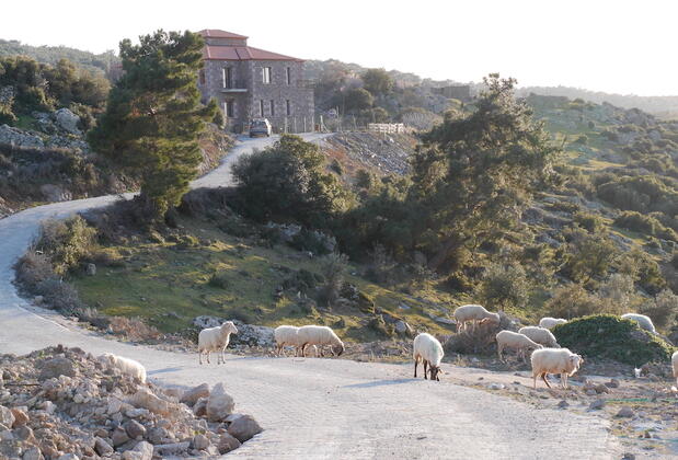 Pırnal Otel Ayvacık - Görsel 4