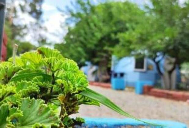 İglo City Bodrum - Görsel 9