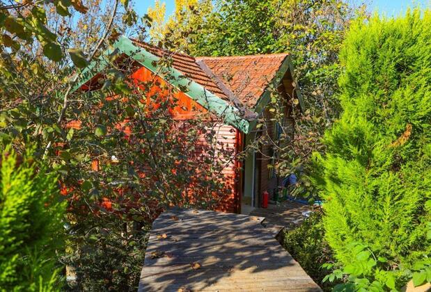 The Canyon Hotel Resort - Görsel 5