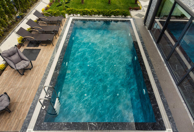 Begonvilla - Görsel 8