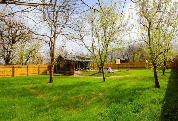 Sapanca Ağaç Evler - Görsel 8