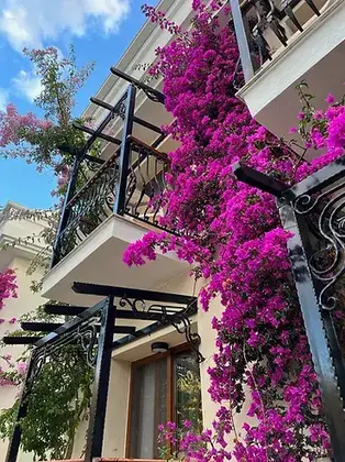 Telmessos Neva Hotel - Görsel 7