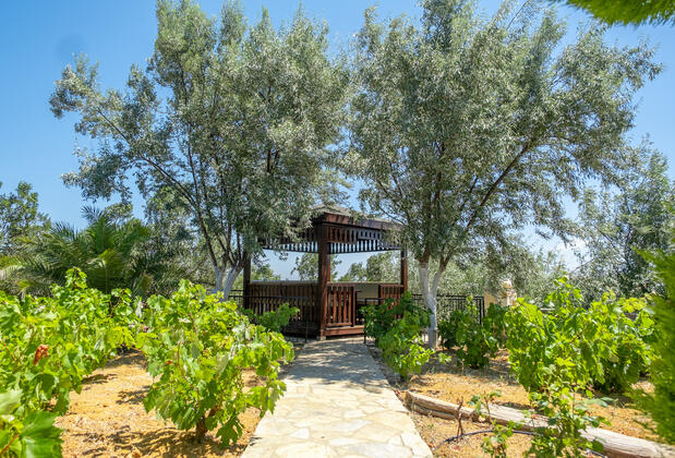 Bozcaada Korukçu Villaları - Görsel 8