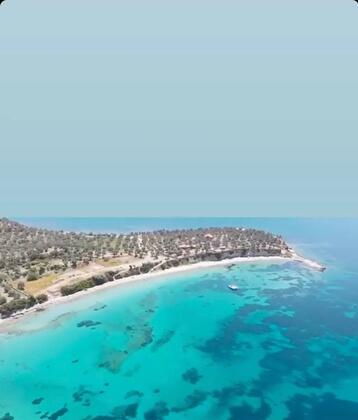 Bademli Tiny House - Görsel 13