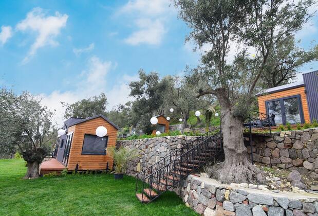 Bademli Tiny House - Görsel 5