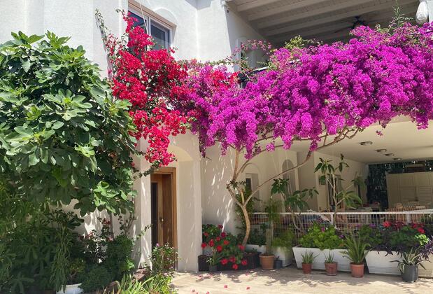 Karayel Apart Hotel - Görsel 15