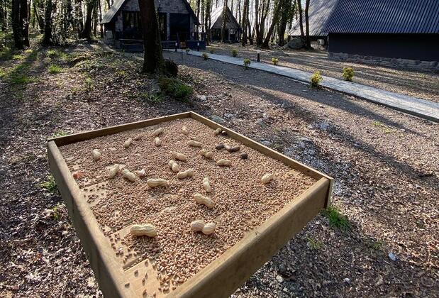 Sapanca Meşelik Park Bungalow - Görsel 28