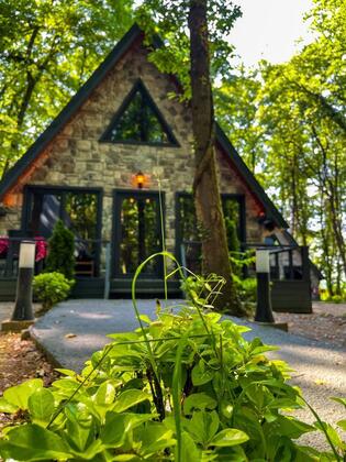 Sapanca Meşelik Park Bungalow - Görsel 21