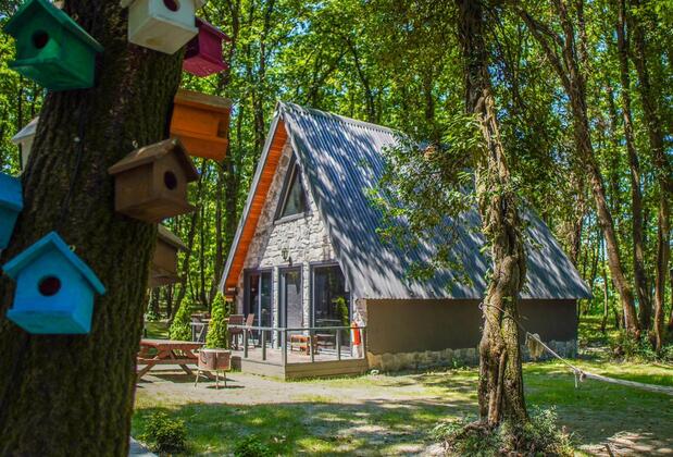 Sapanca Meşelik Park Bungalow - Görsel 25