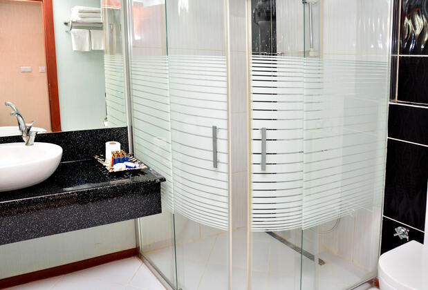 Business Grand Hotel - Görsel 29