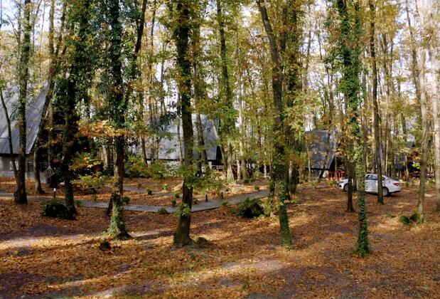 Sapanca Meşelik Park Bungalow - Görsel 2
