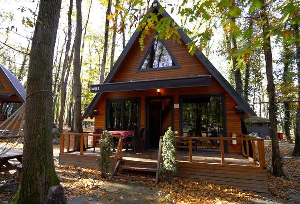 Sapanca Meşelik Park Bungalow - Görsel 4