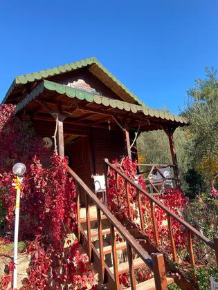 Esvida Arzum Bungalow Olimpos - Görsel 14