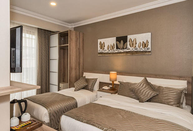 Alfonso Hotel Taksim - Görsel 3