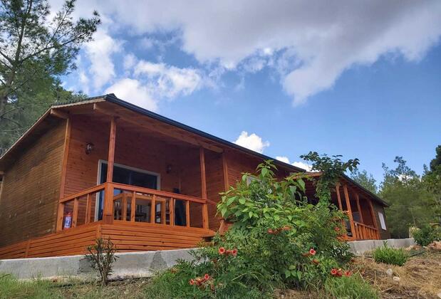 Olympos Terrace Garden - Görsel 5