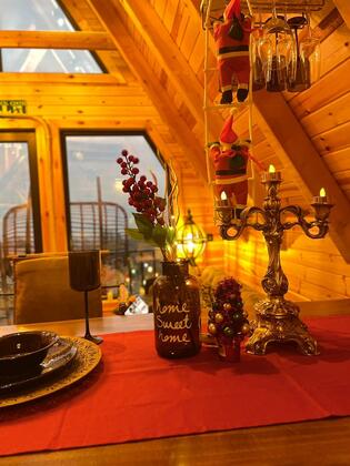 Wolf Bungalov Sapanca - Görsel 8