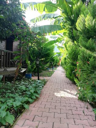 Adrasan Maldivler Bungalow Apart Evleri - Görsel 5