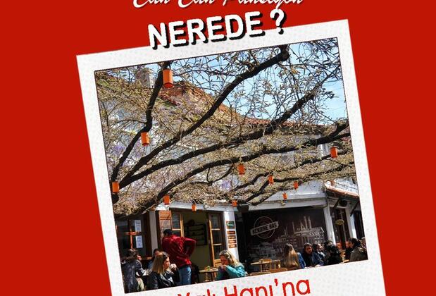 Can Can Apart Otel Çanakkale Merkez - Görsel 24